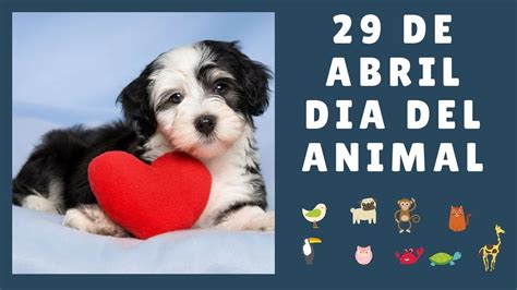 cuándo es el día del animal en argentina